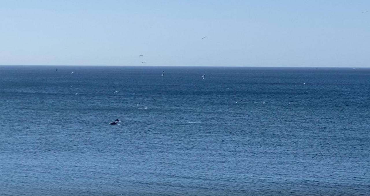 Appartamento Casa De Playa Estepona Esterno foto